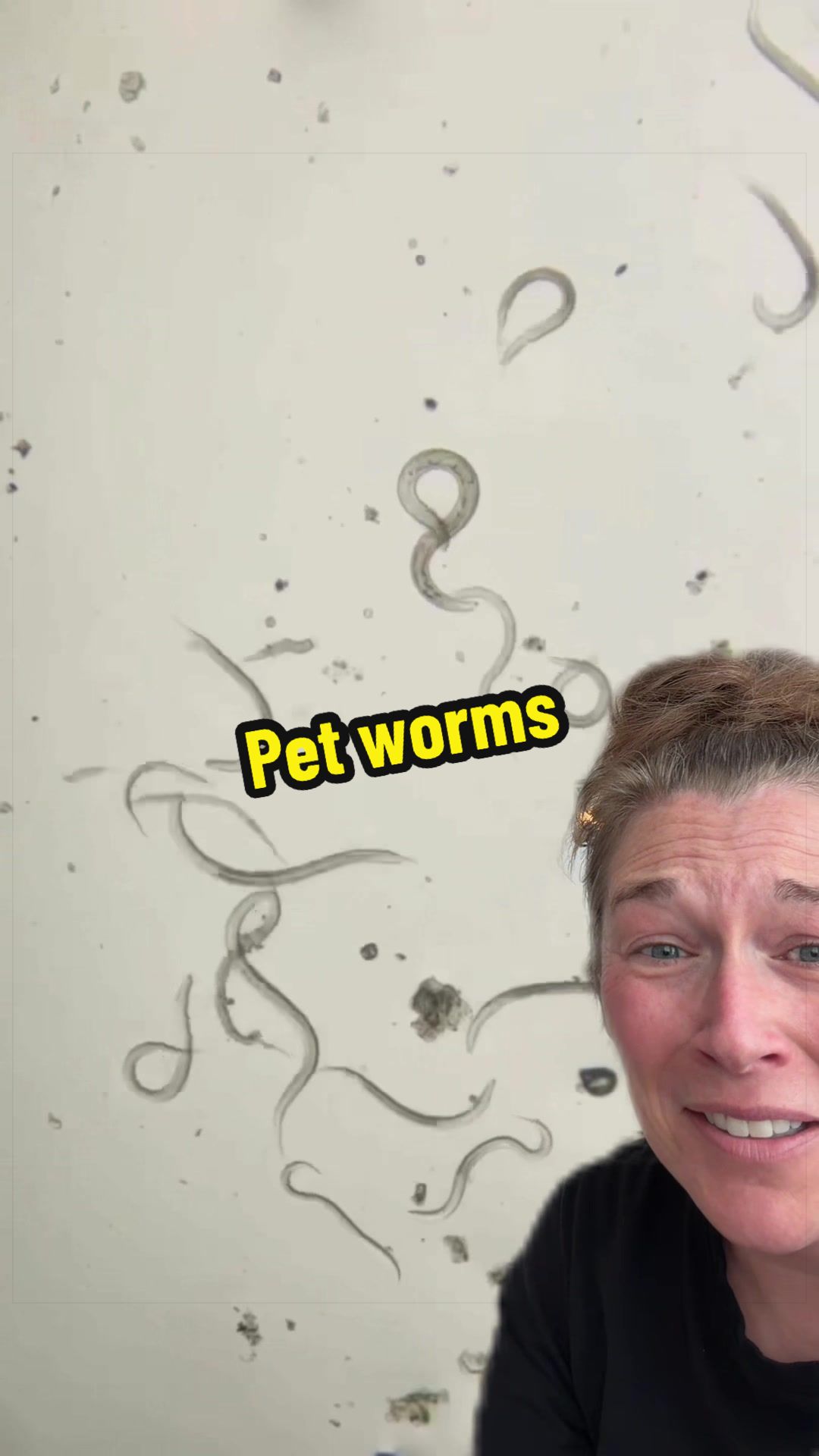 @Worm Queen🪱👸🏼Kim Rogers