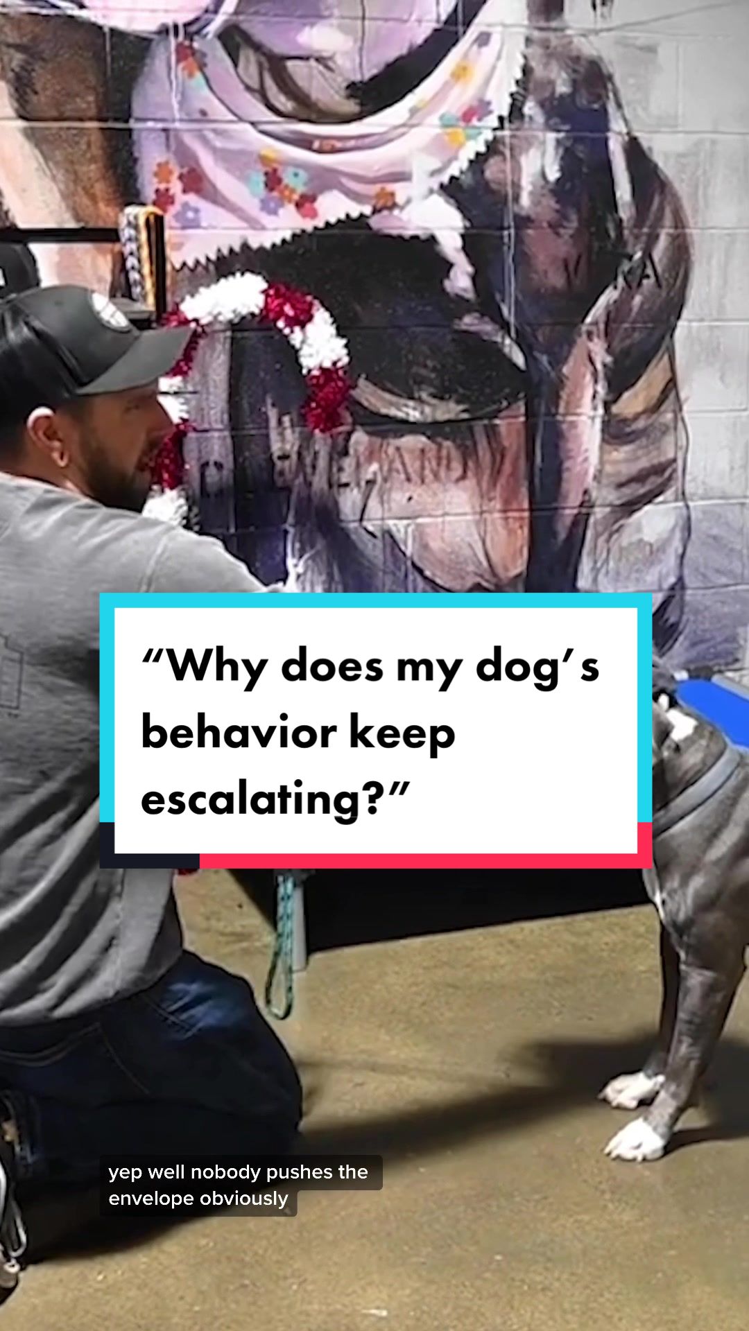 @Miracle K9 Training