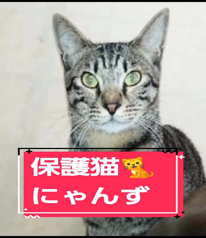 @みなし