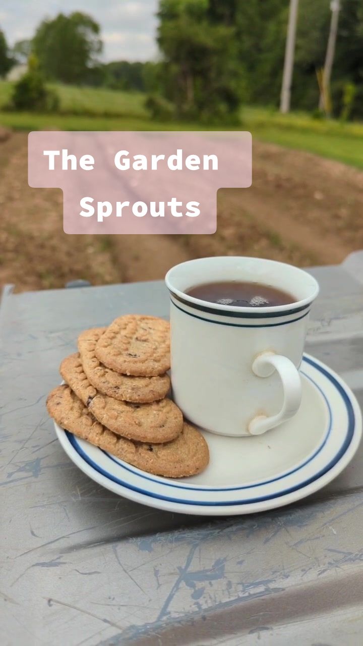 @Evie'sGarden