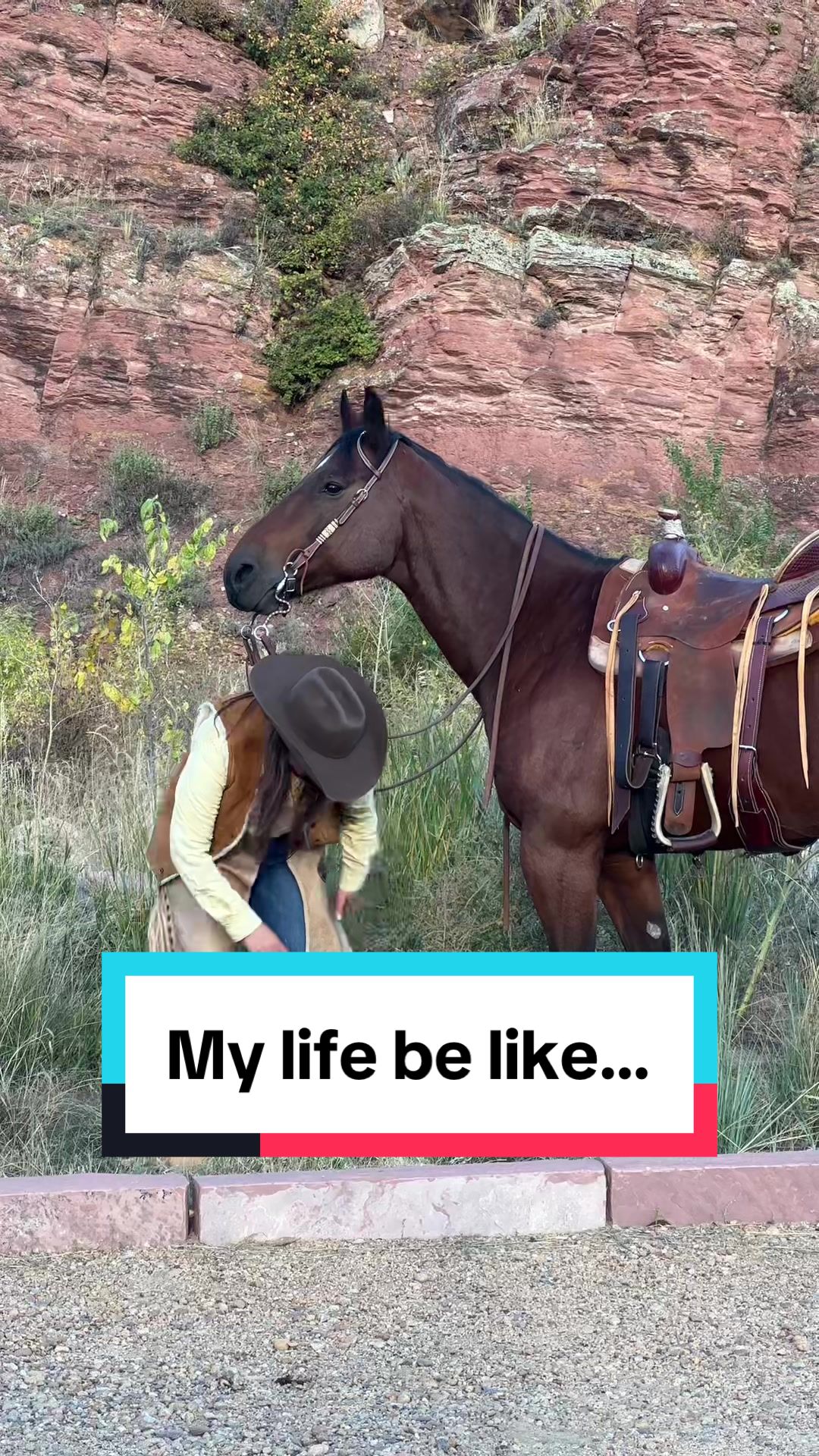 @Maureen | Equine Photographer