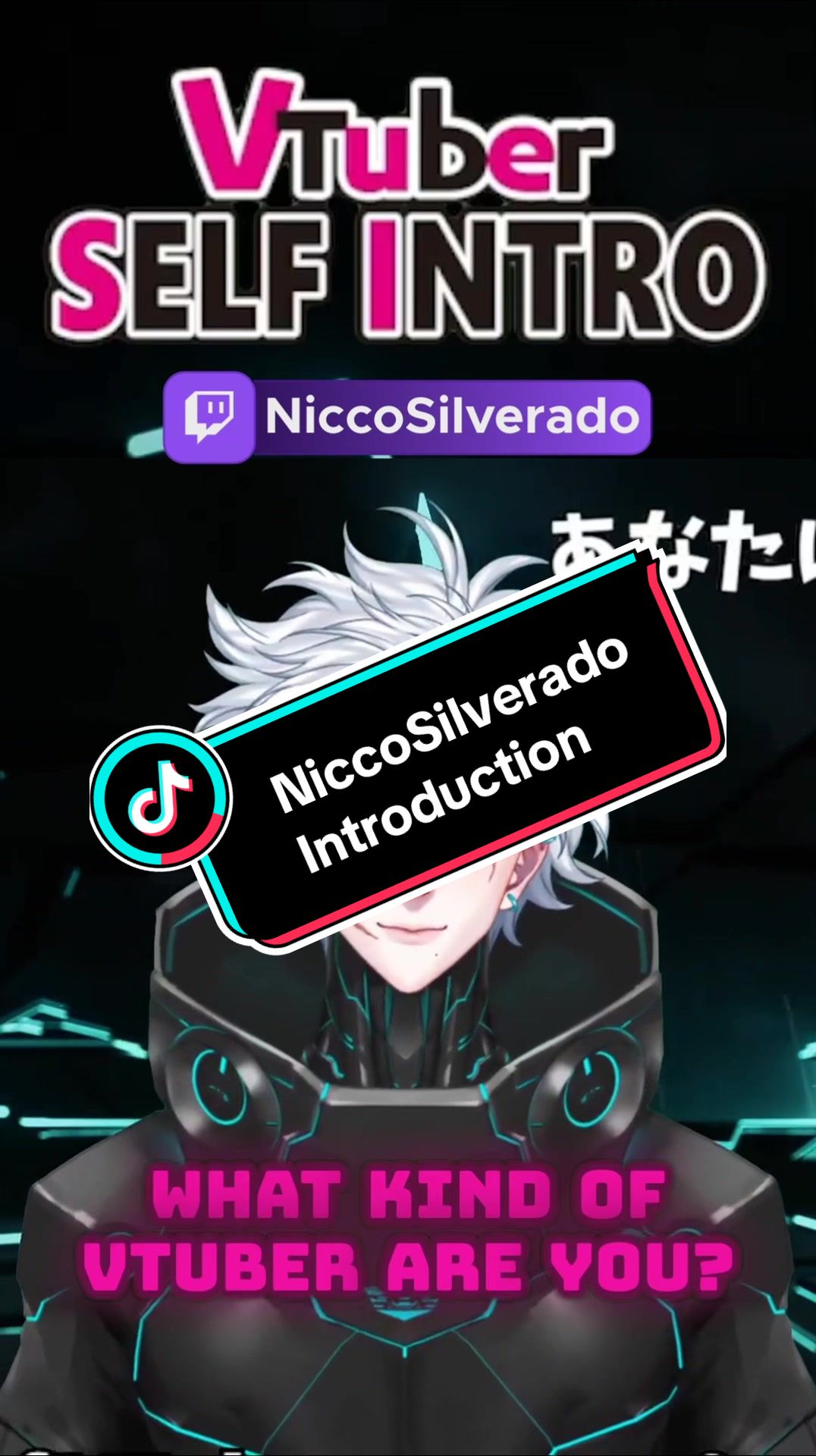 @NiccoSilverado (TTV)