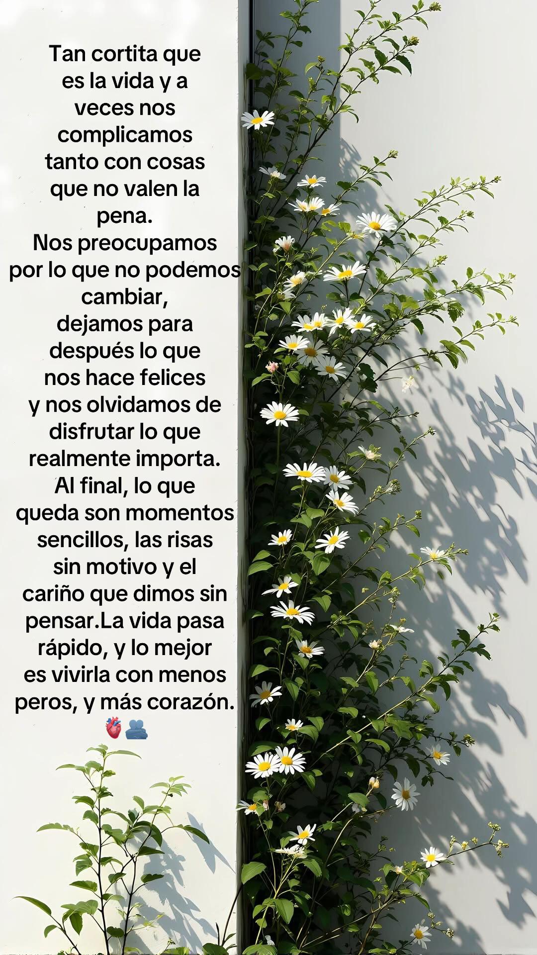 @Beatriz A .