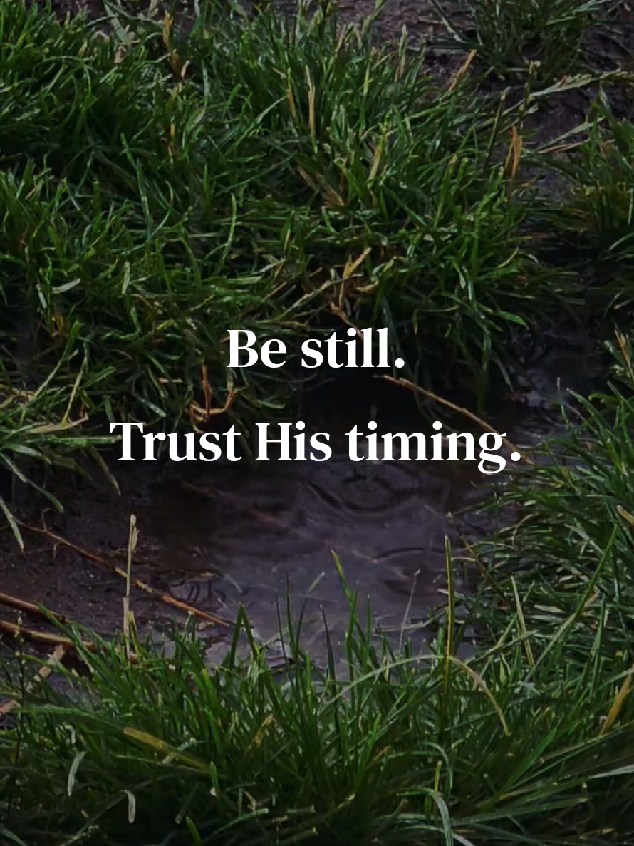@Terri B