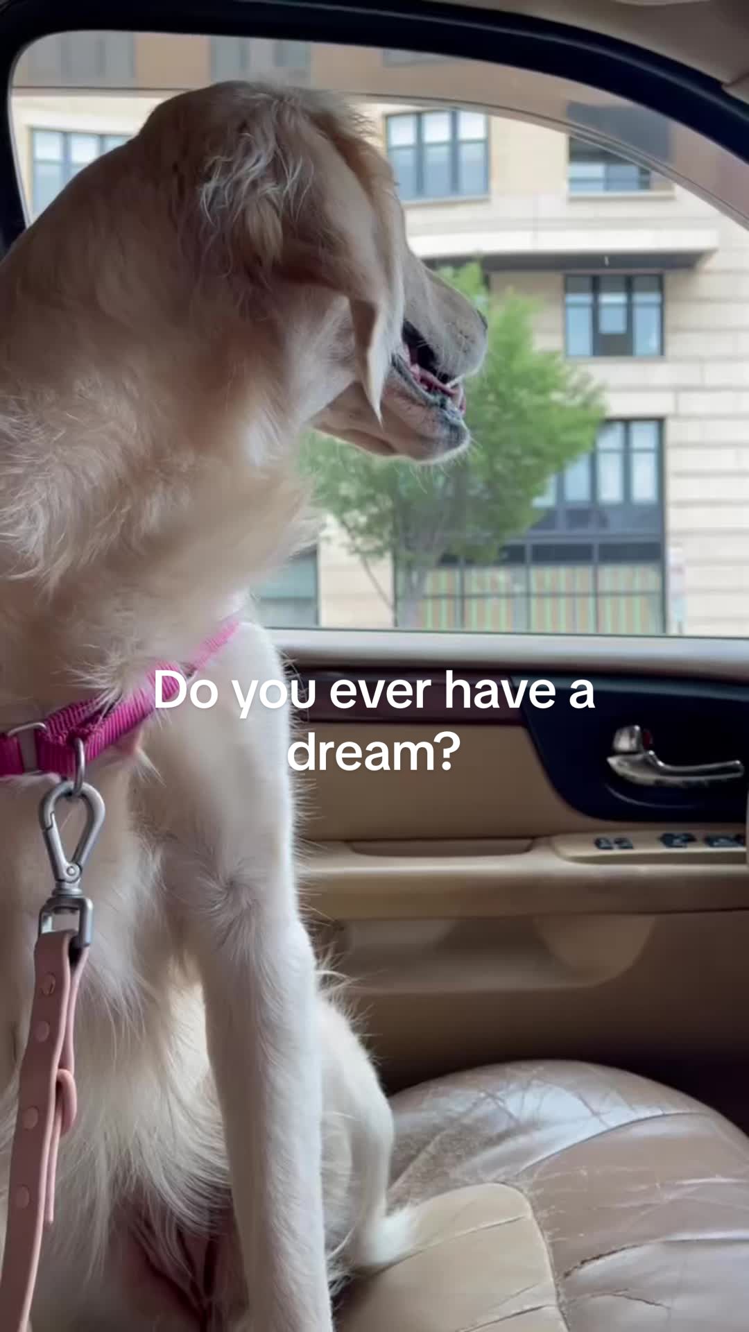@Raised by Wolves