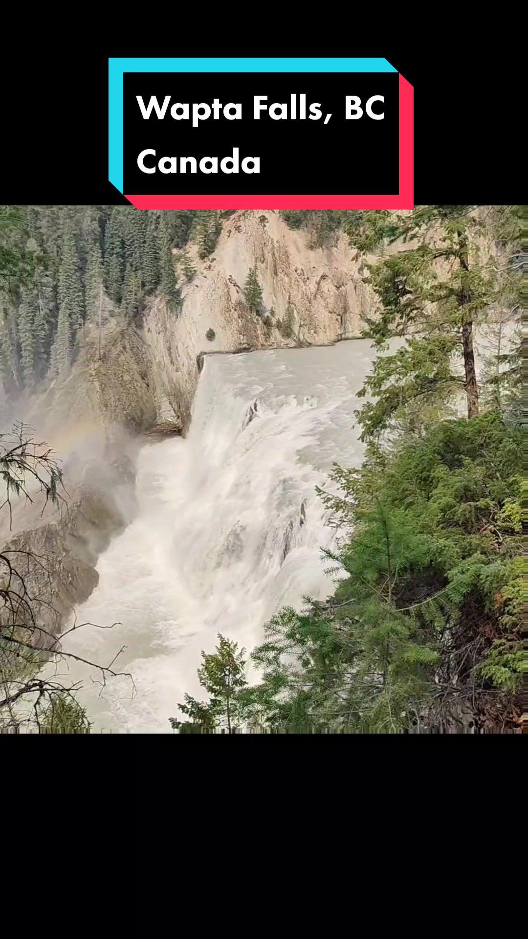 @GrizzlyBarbarian.com