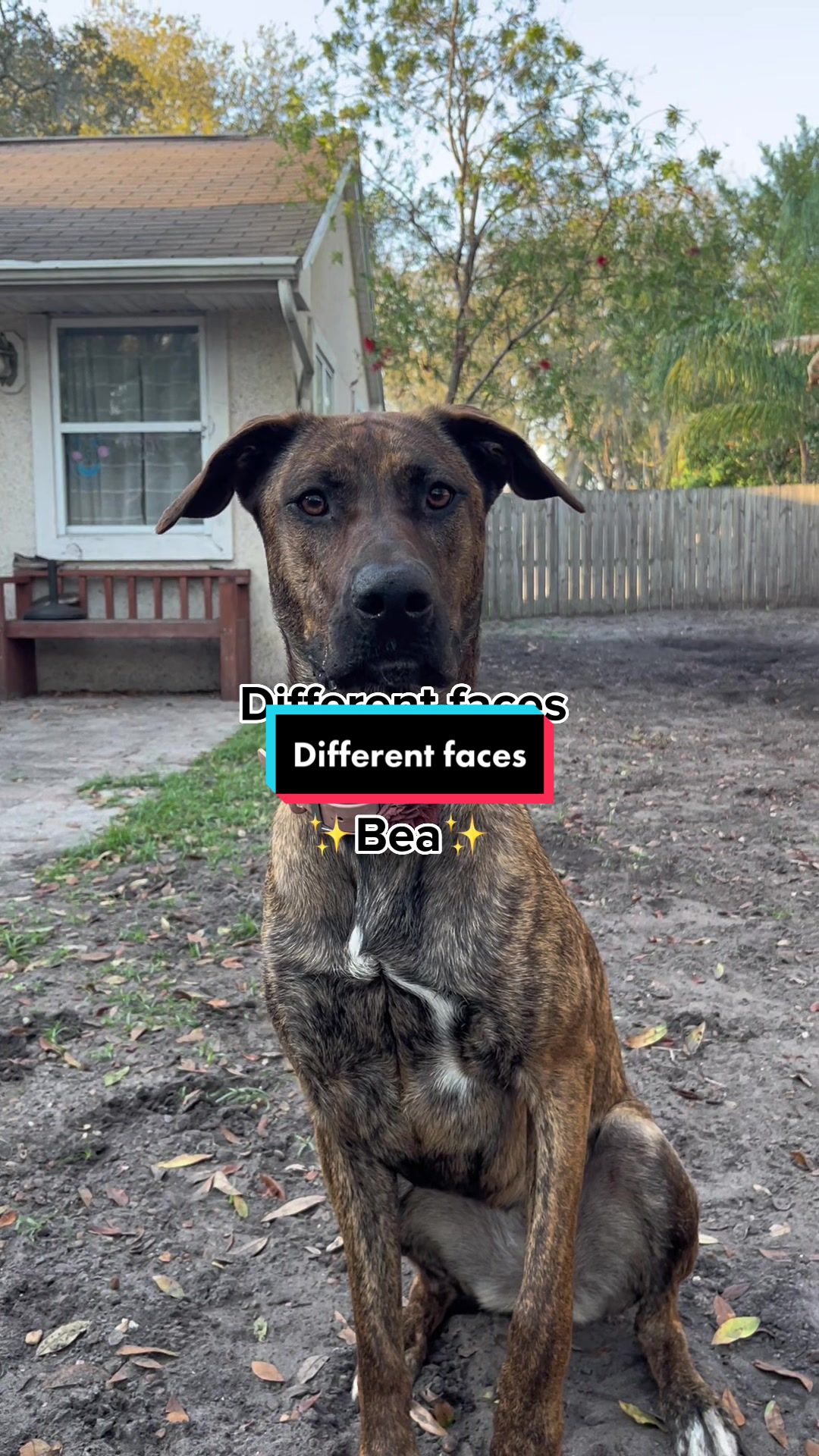 @Bea
