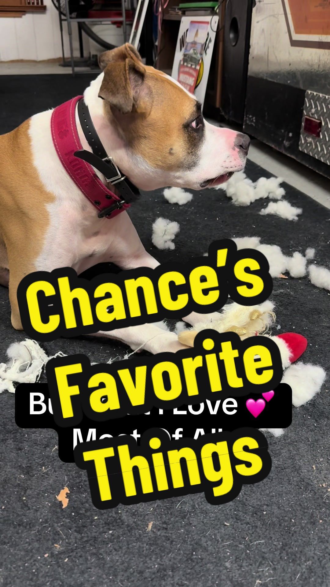@Chance and Co