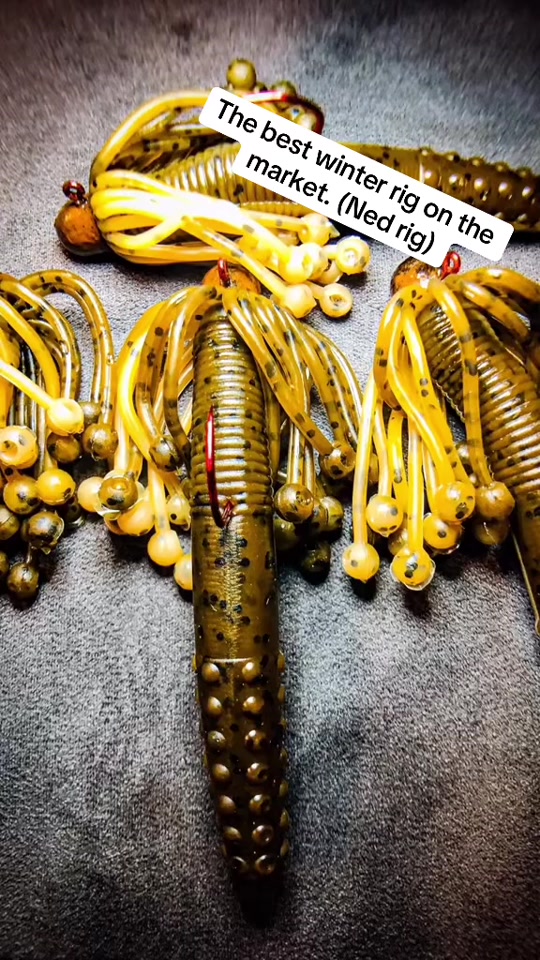 @Bassinwithjay