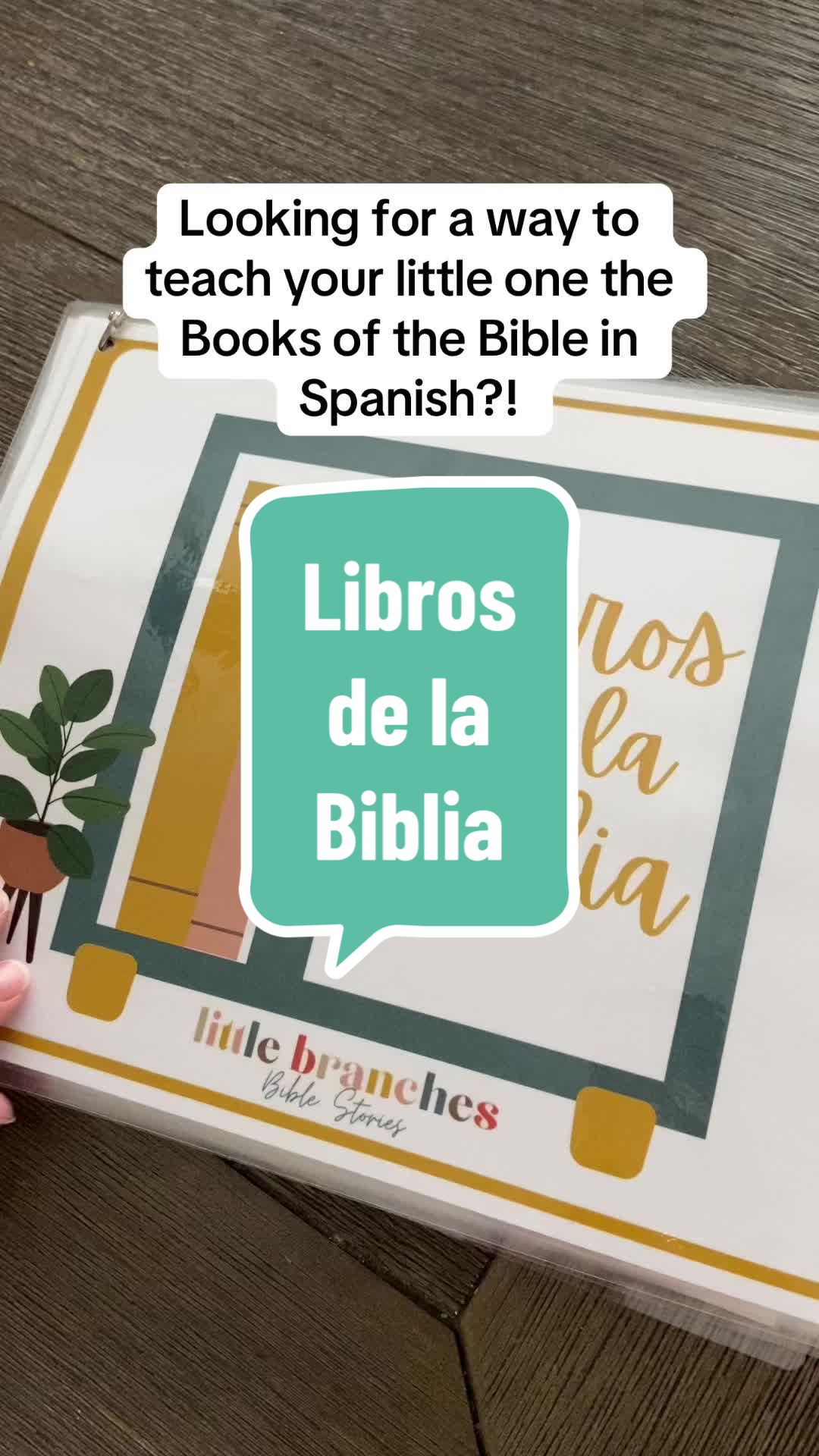 @Little Branches Bible Stories