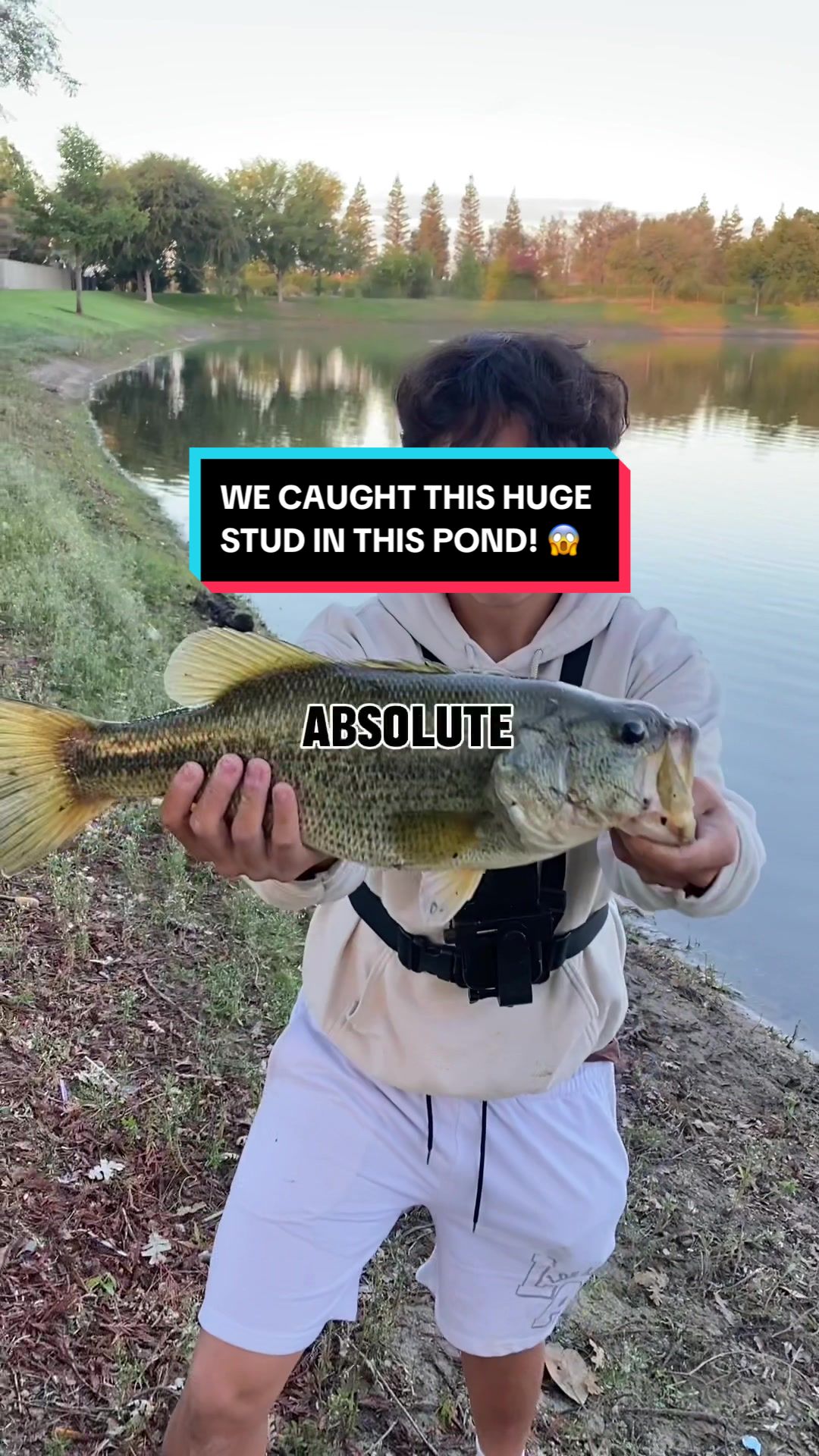 @PebPounder