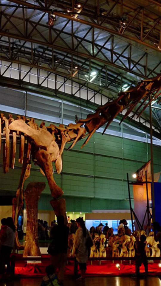 @DinoToyVault