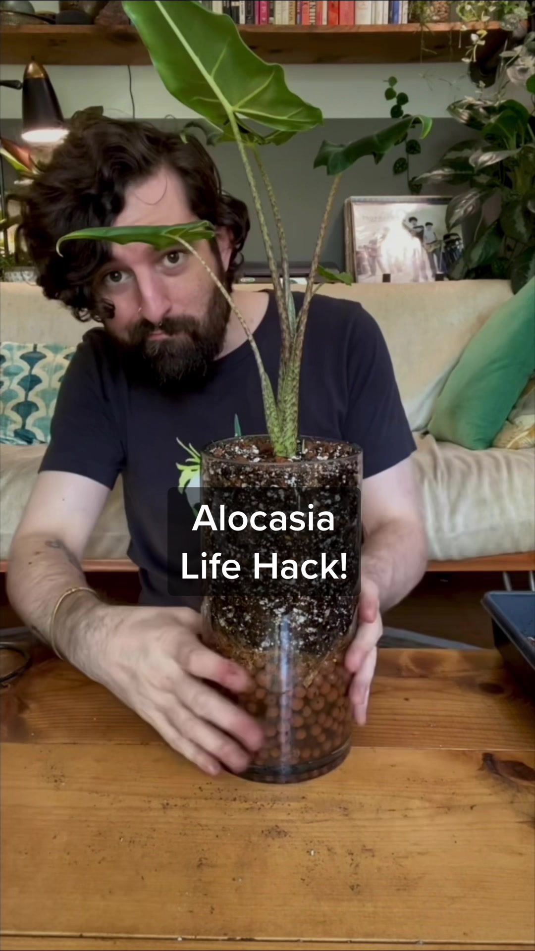 @Plant Daddy Podcast