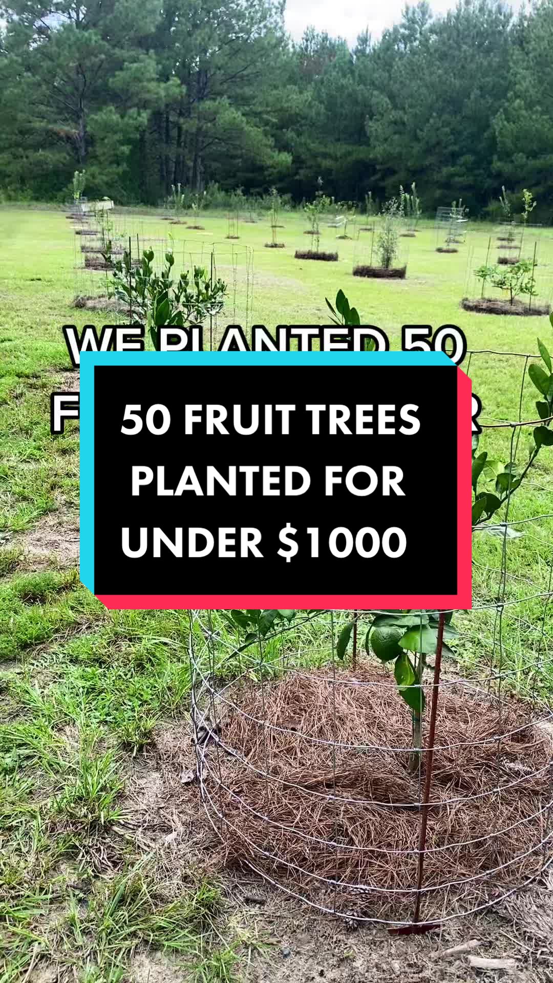 @Old_Stillmore_Homestead