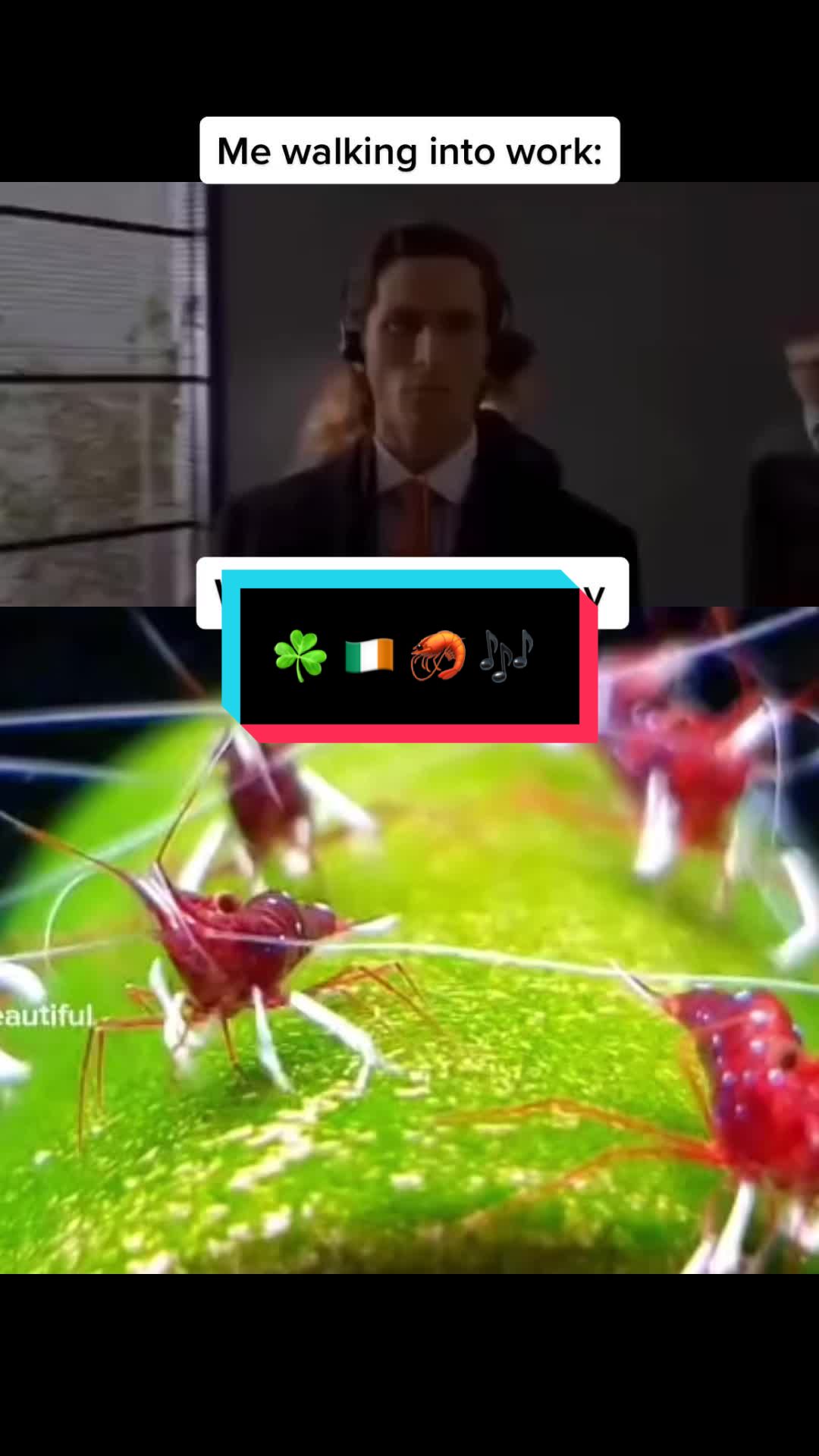 @RealisticFishHead