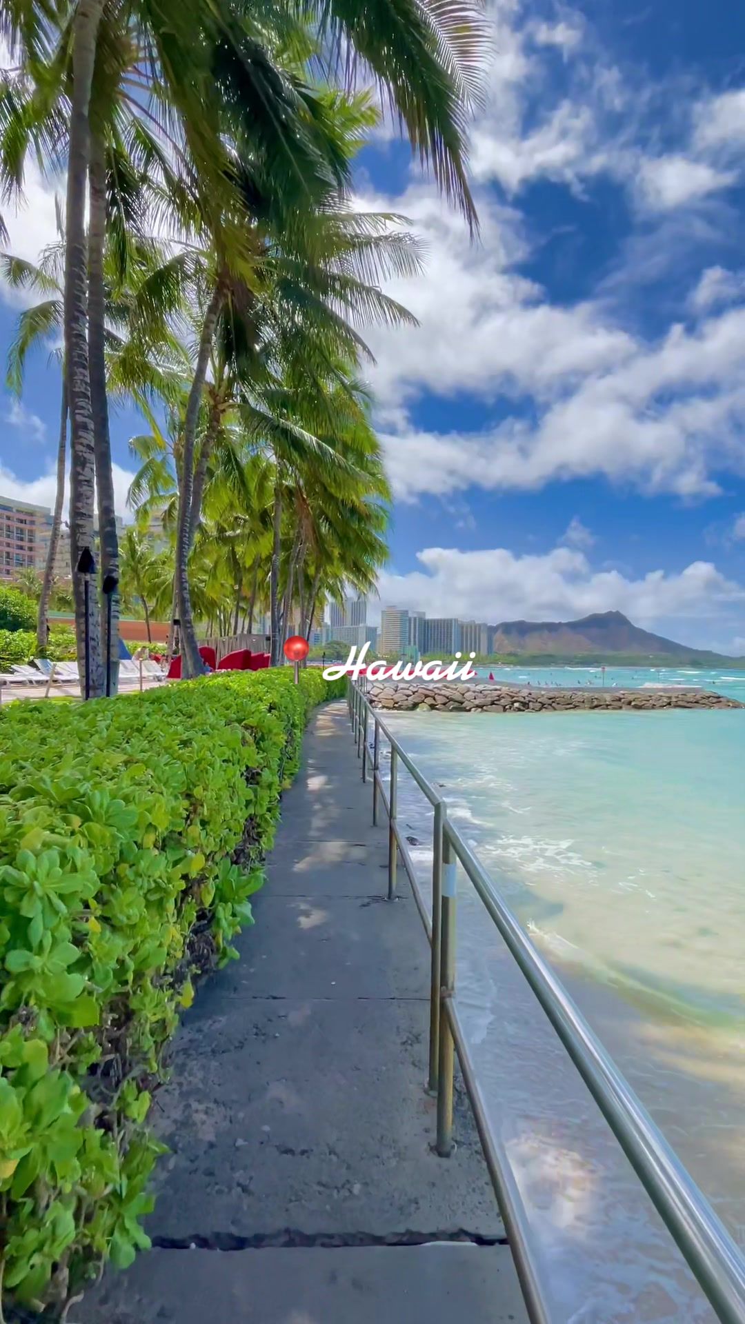 @POCKET HAWAII | ポケットハワイ