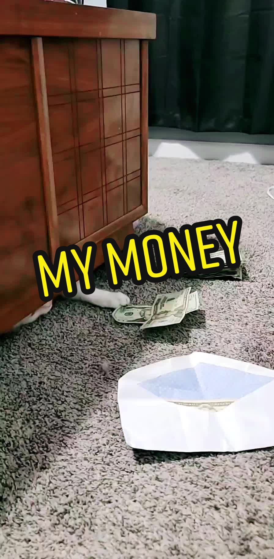 @macabrepisces
