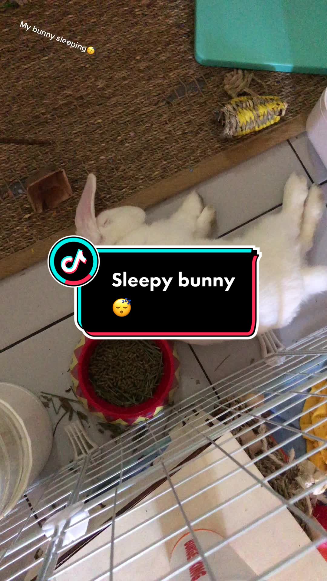 @Arcticbadbunny
