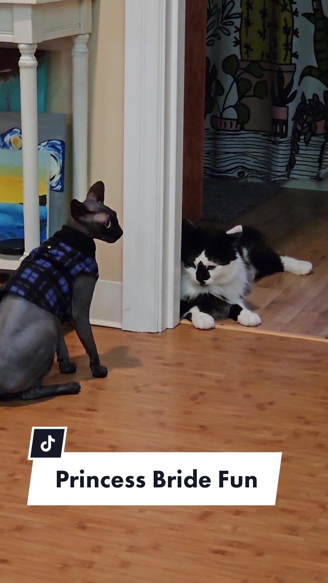@kyoto.jack.sphynx