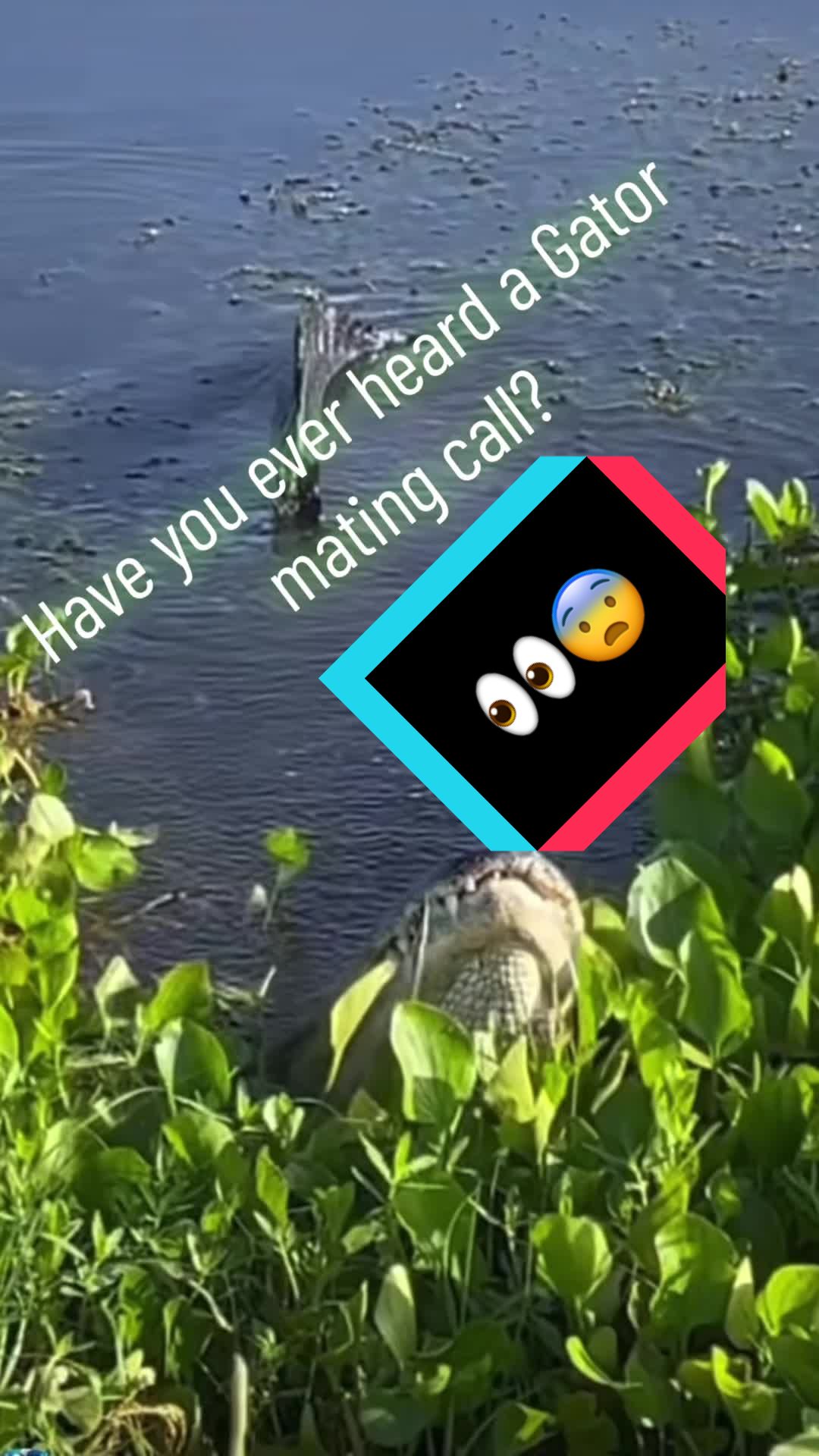 @Dan