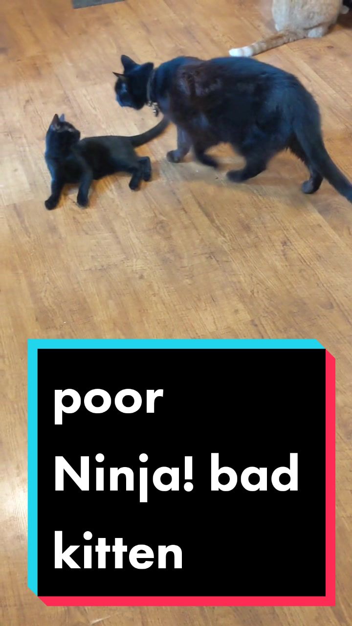@Kitty Bouhktin