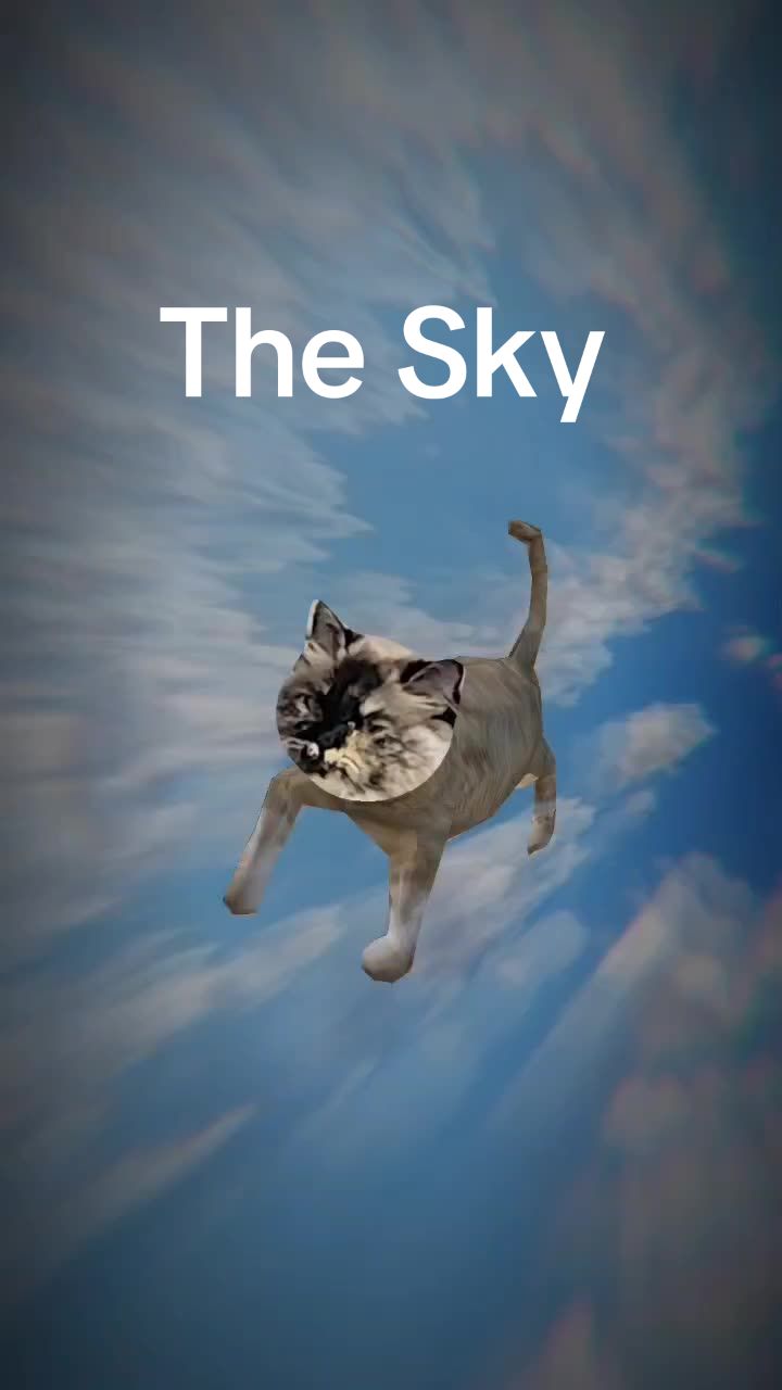 @CatWith
