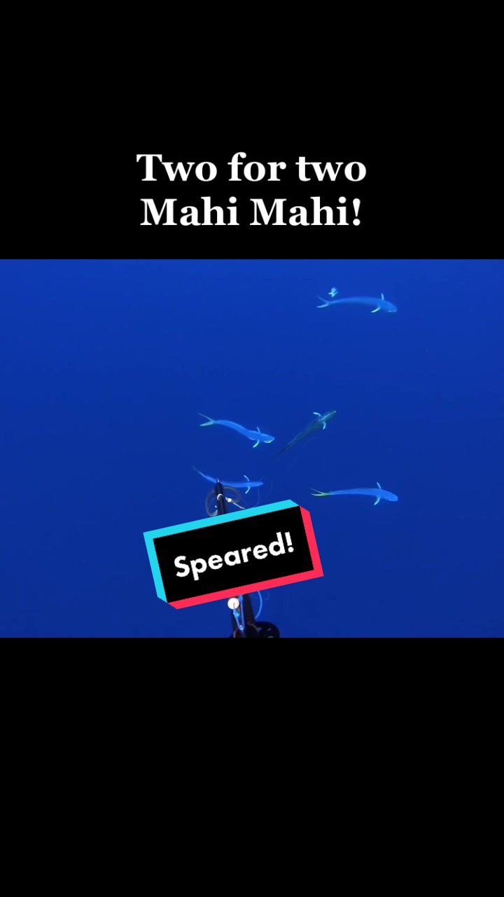 @kairosspearfishing