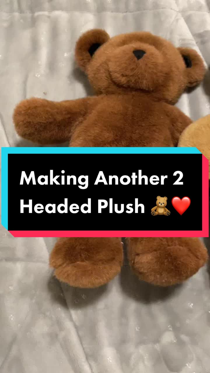 @💙🧸꒰&ensp;Bear&ensp;꒱🎲❤️