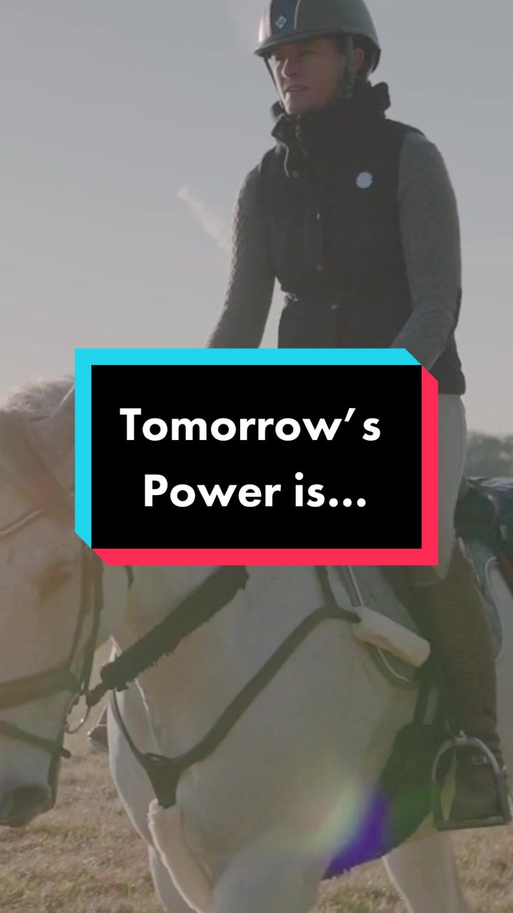@Fit Equine