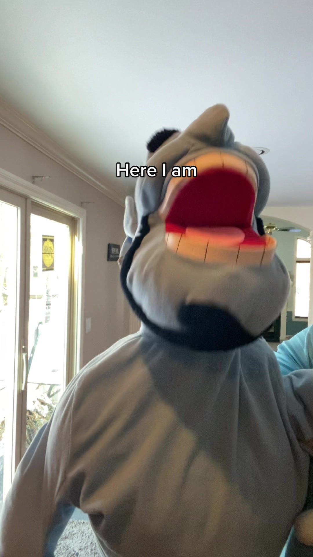 @GenieSkits.v2