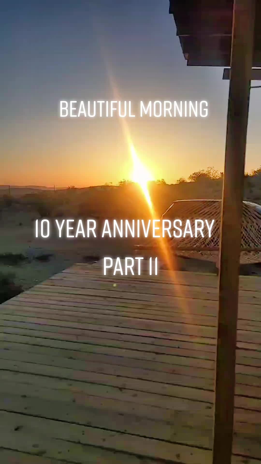 @🌻V🌻