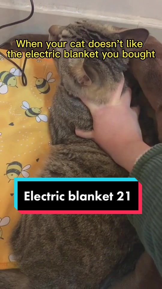 @Electric blanket factory
