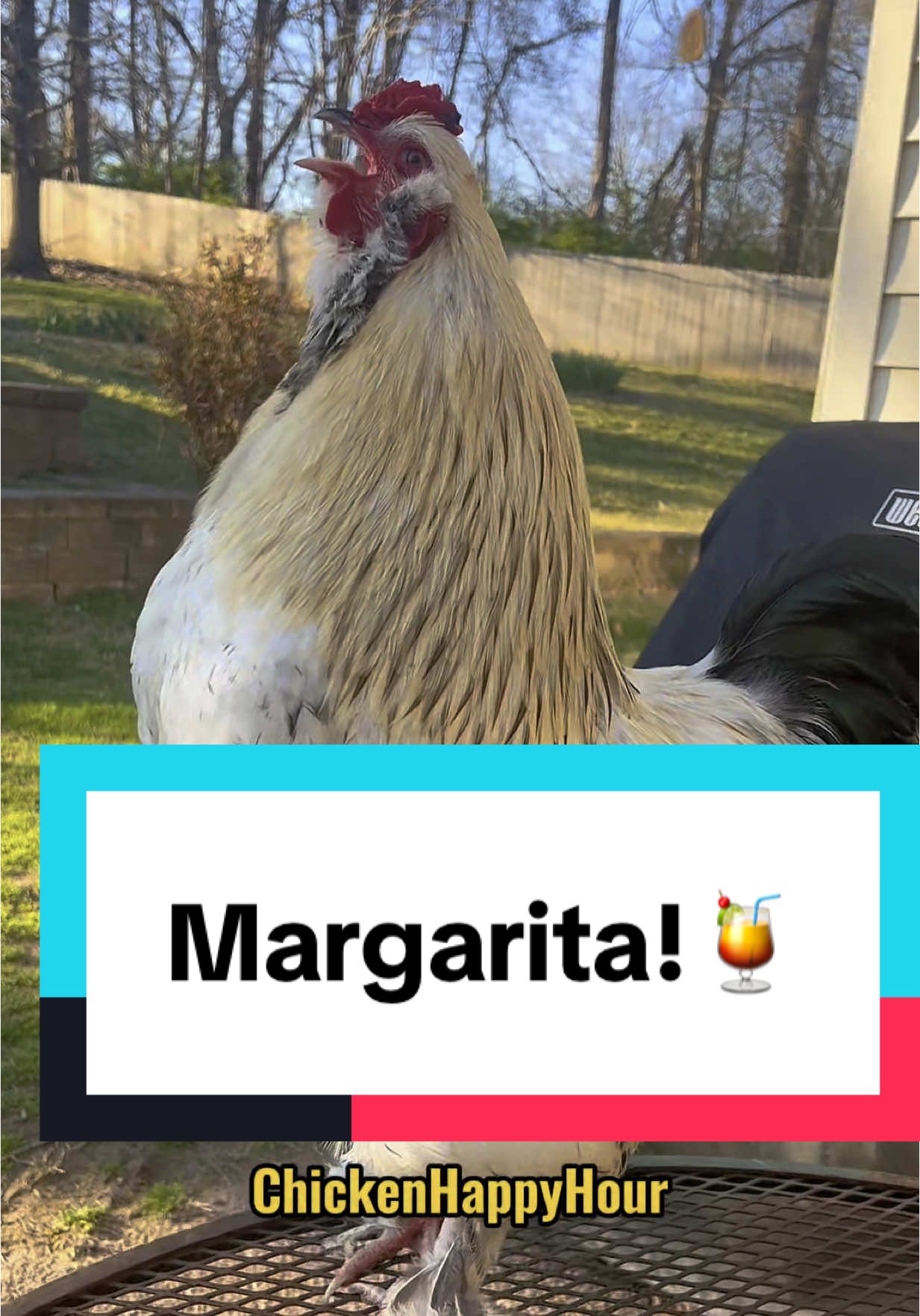 @ChickenHappyHour