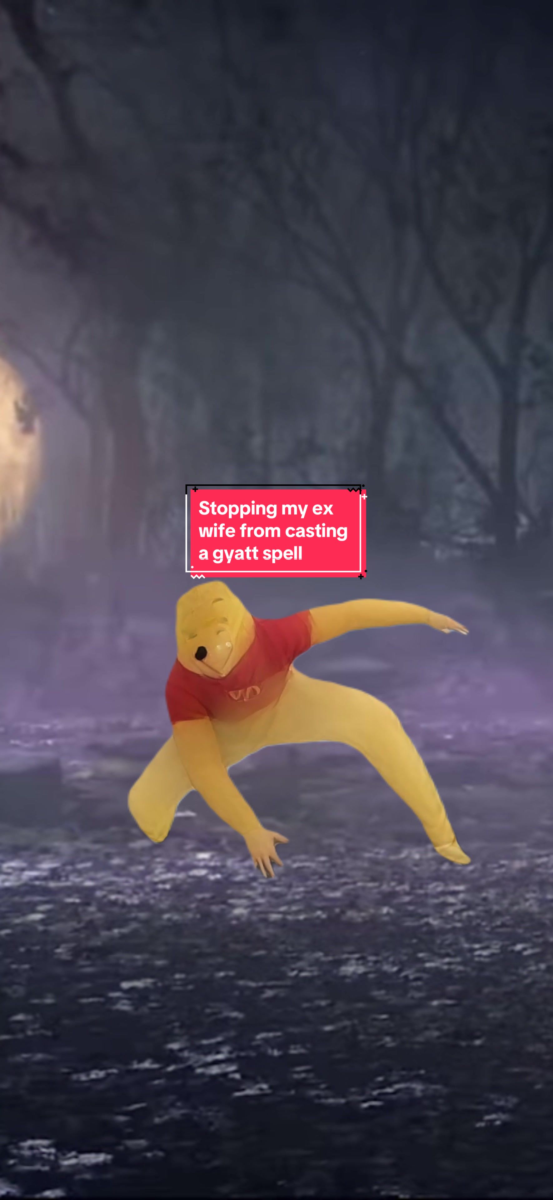 @PoohFromOhio