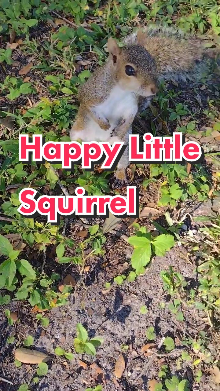 @Foggymorning