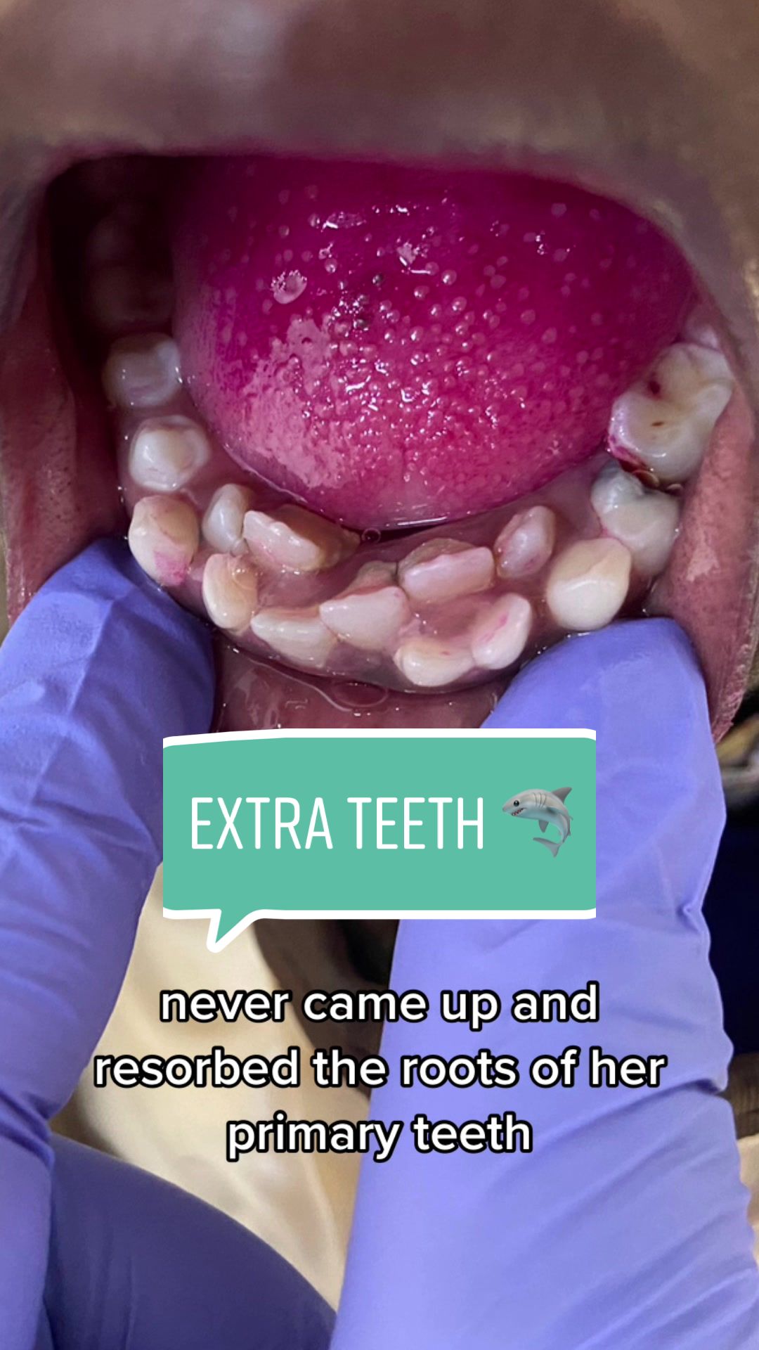 @Dr. Ciapciak | Dentist
