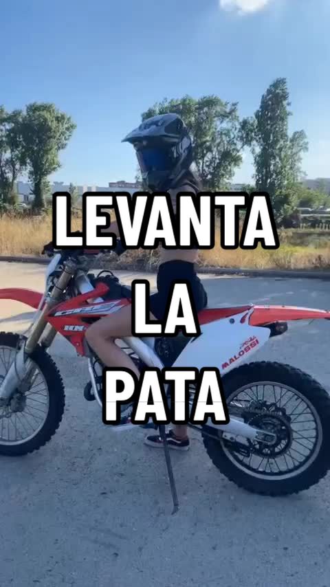 @Low Mueve