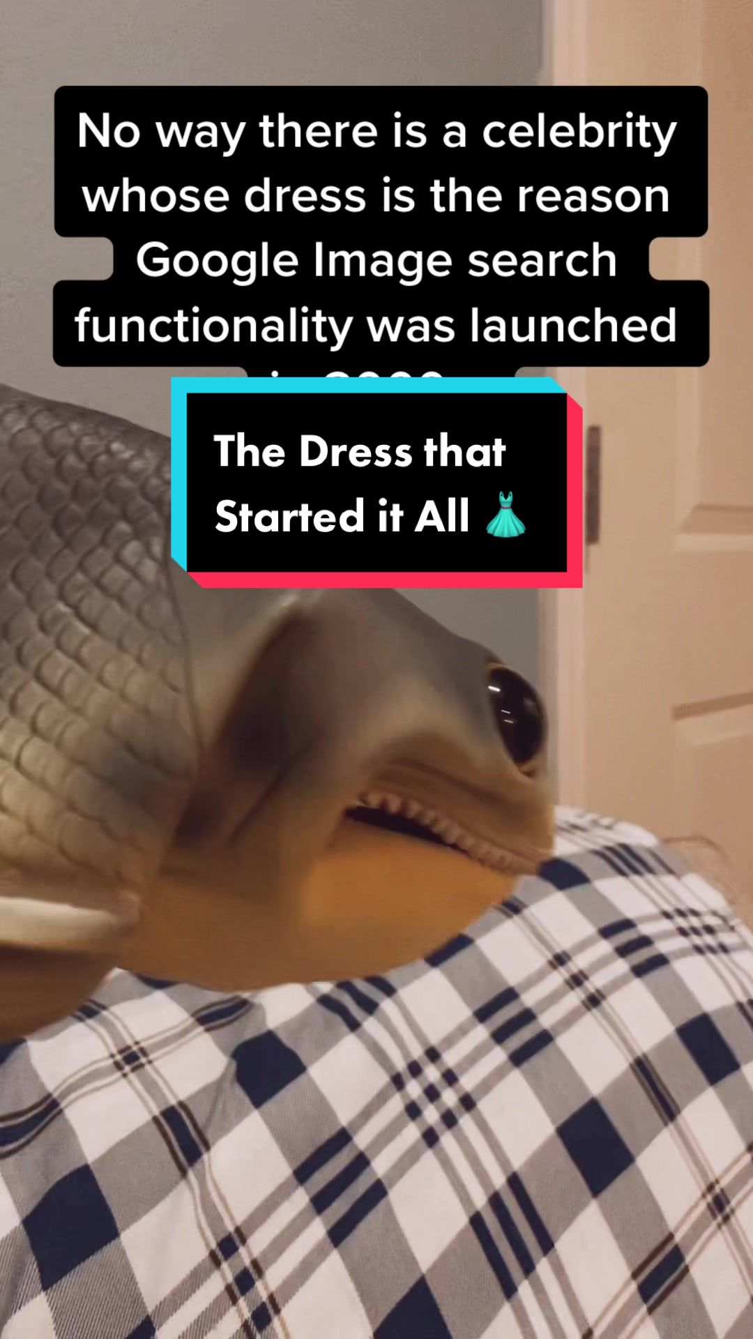 @RealisticFishHead