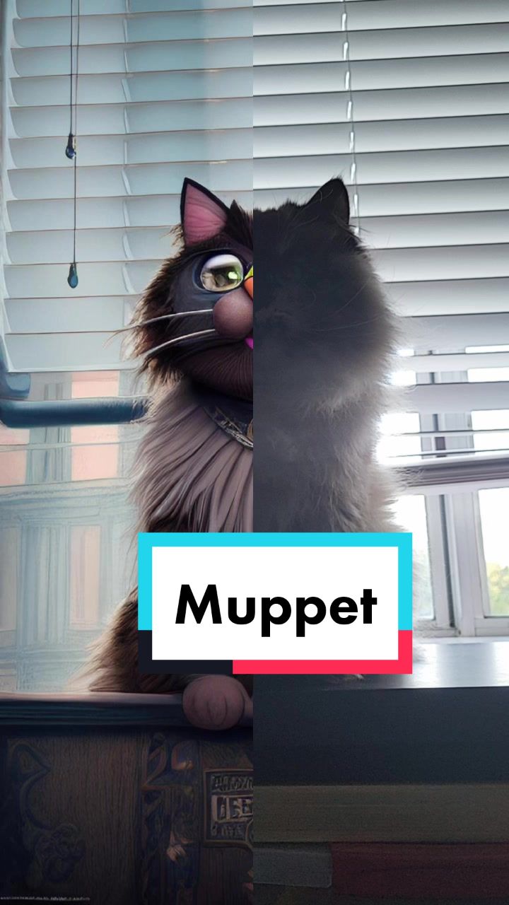@CatWith