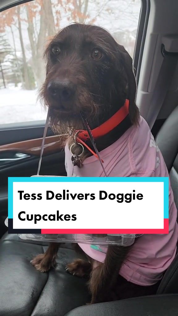 @NadiaCakes