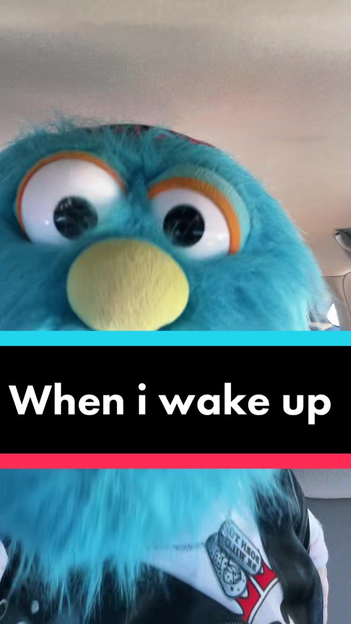 @RudeRalphie