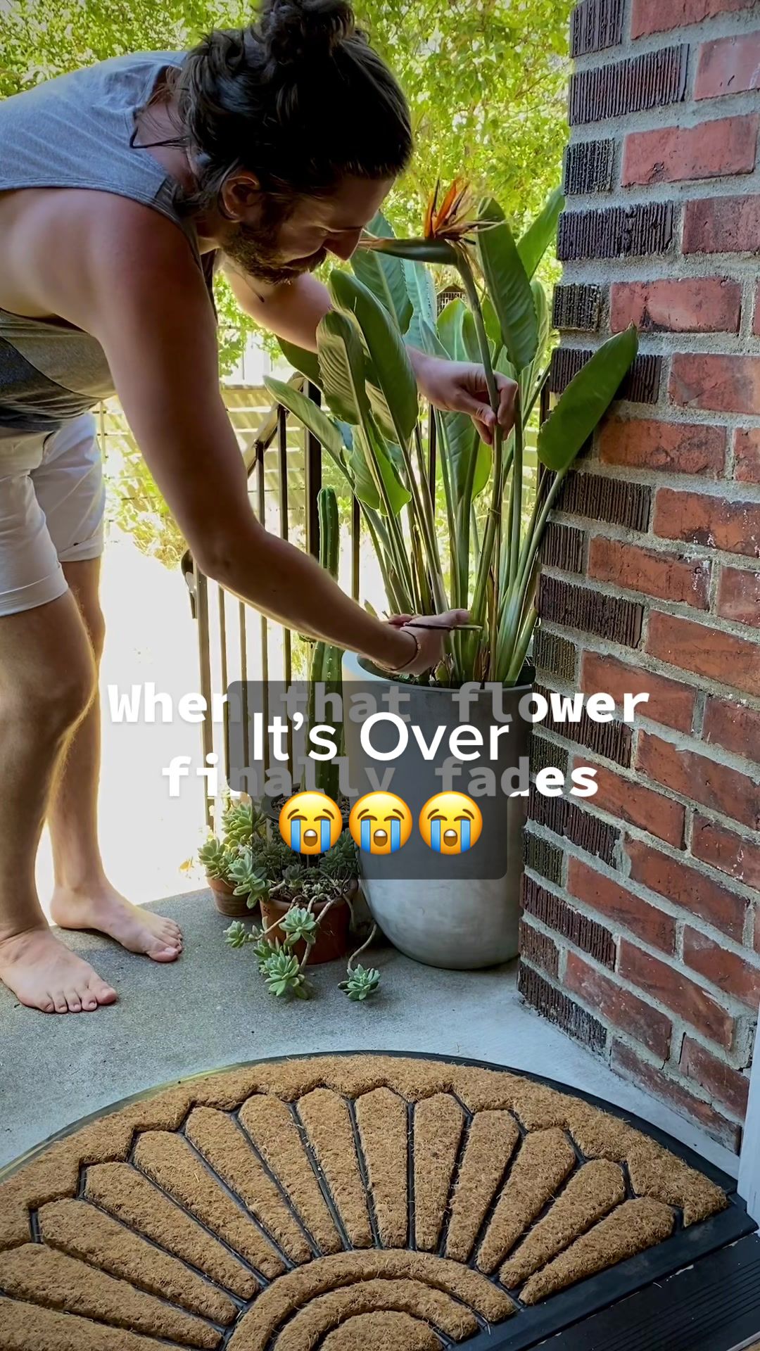 @Plant Daddy Podcast