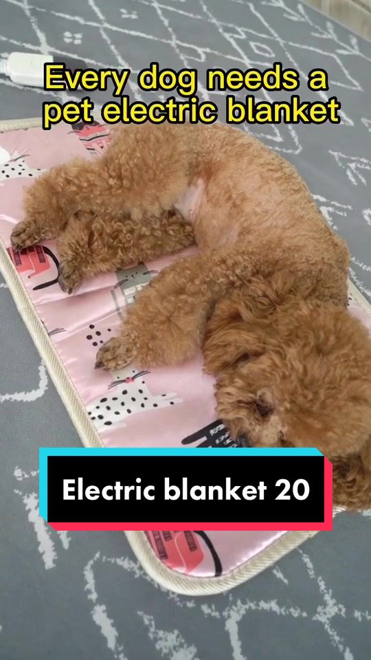 @Electric blanket factory