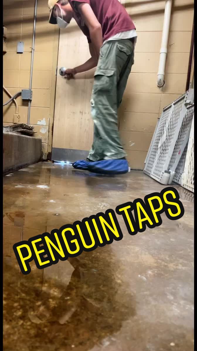 @ZookeeperTanner