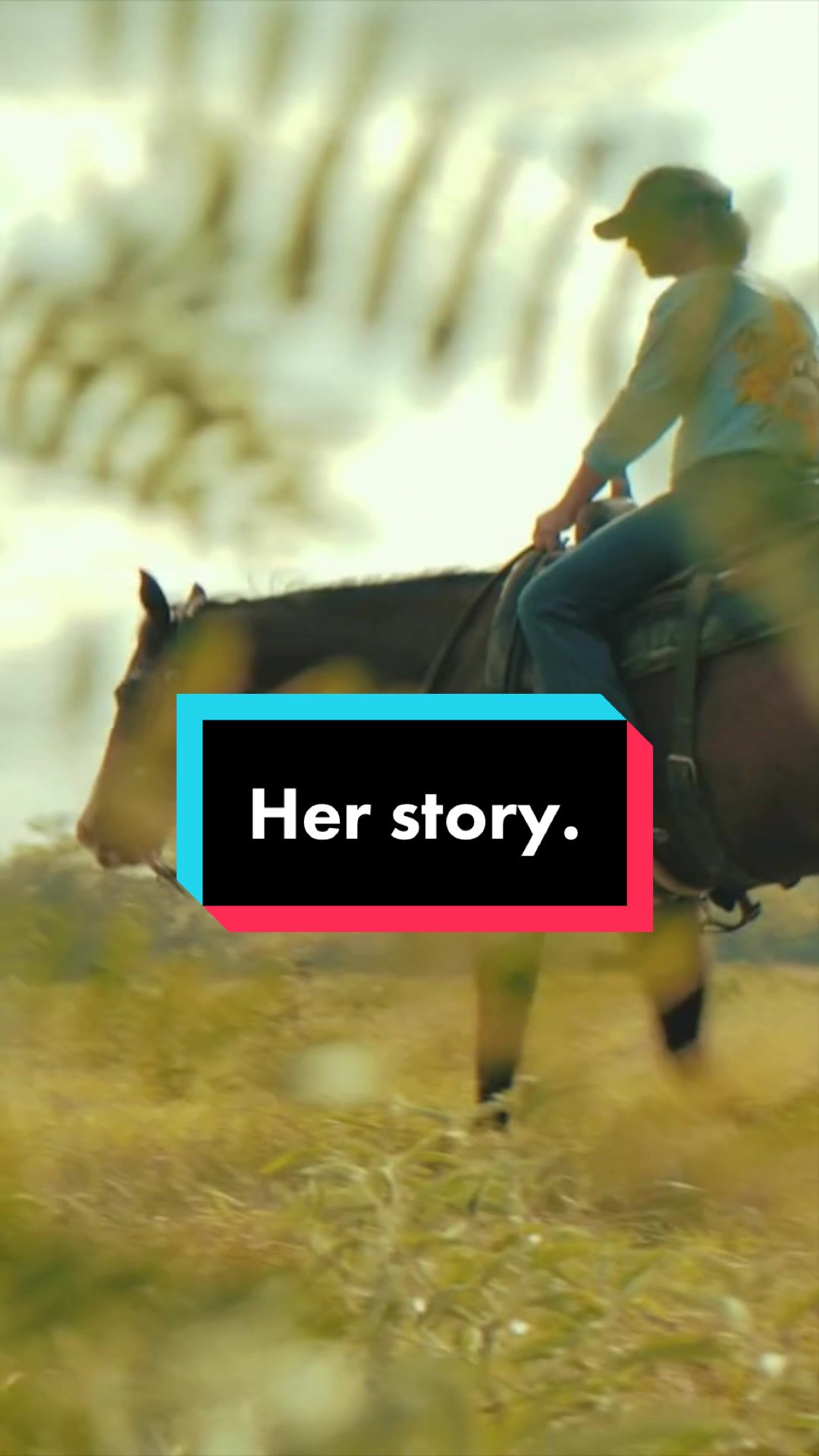 @Fit Equine
