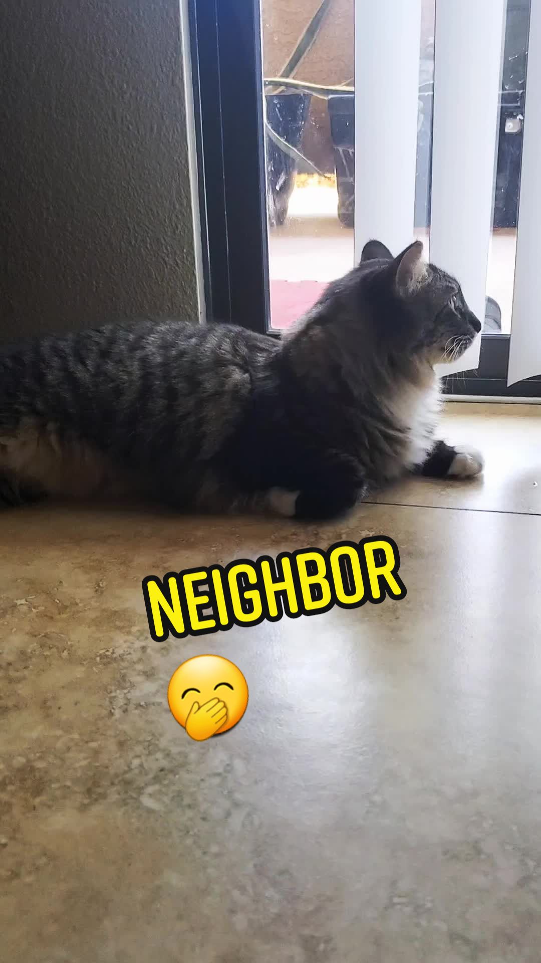 @RIEJ💘(ΦωΦ)🐈️🐾👑