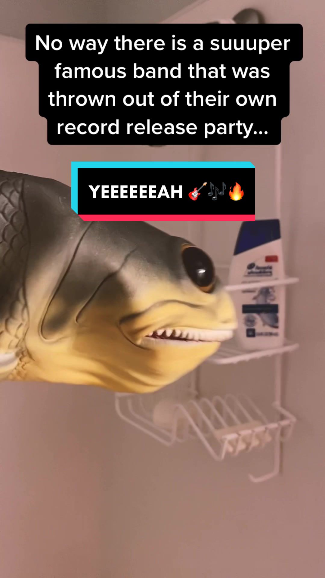 @RealisticFishHead
