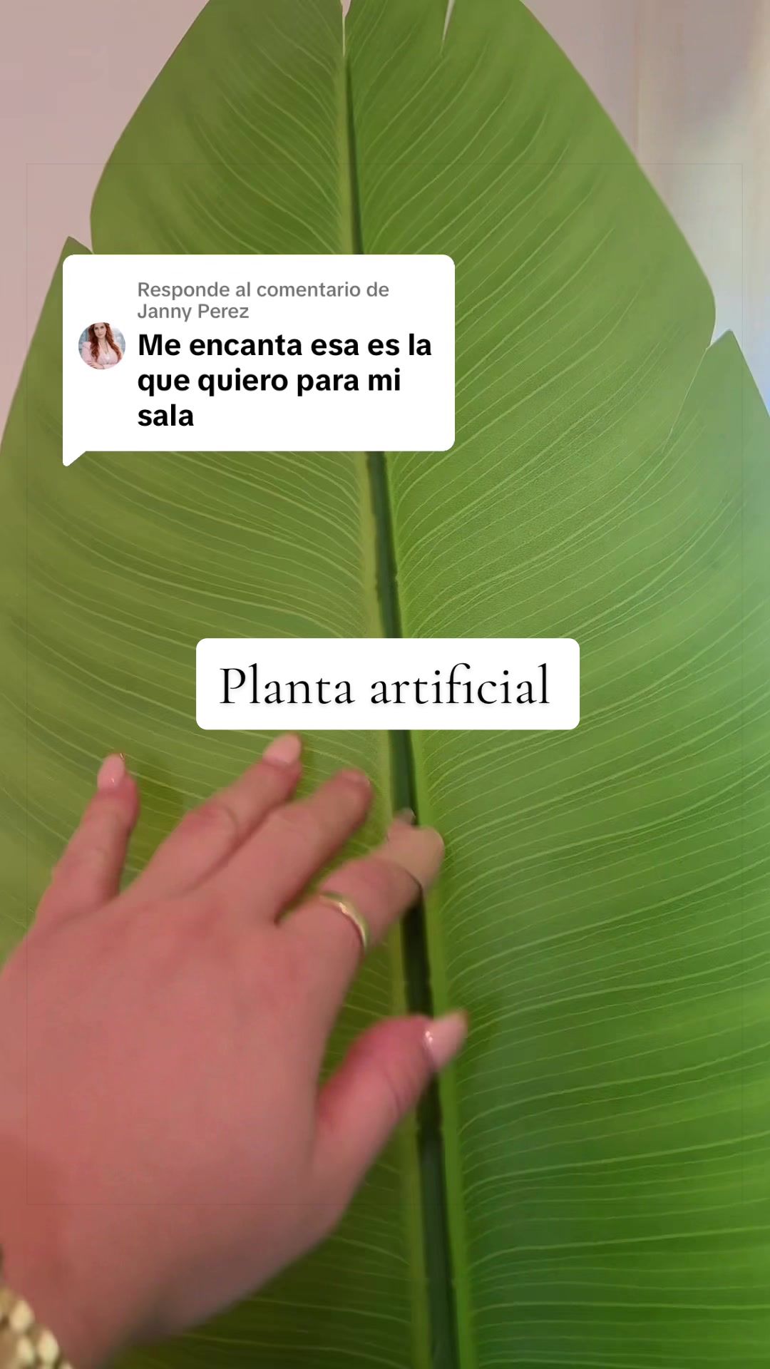 @mary