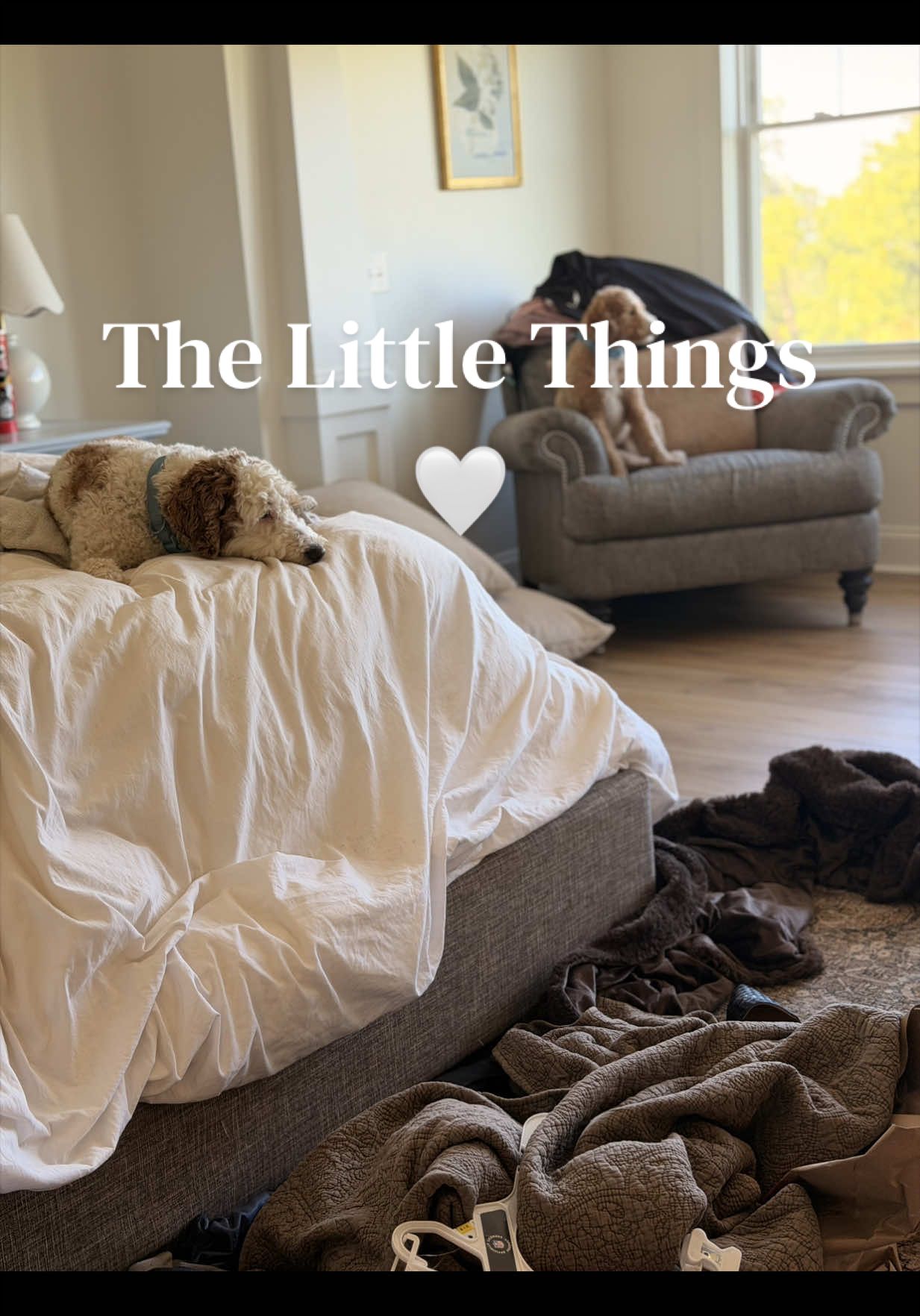 @Alaina | Home • Life • Systems