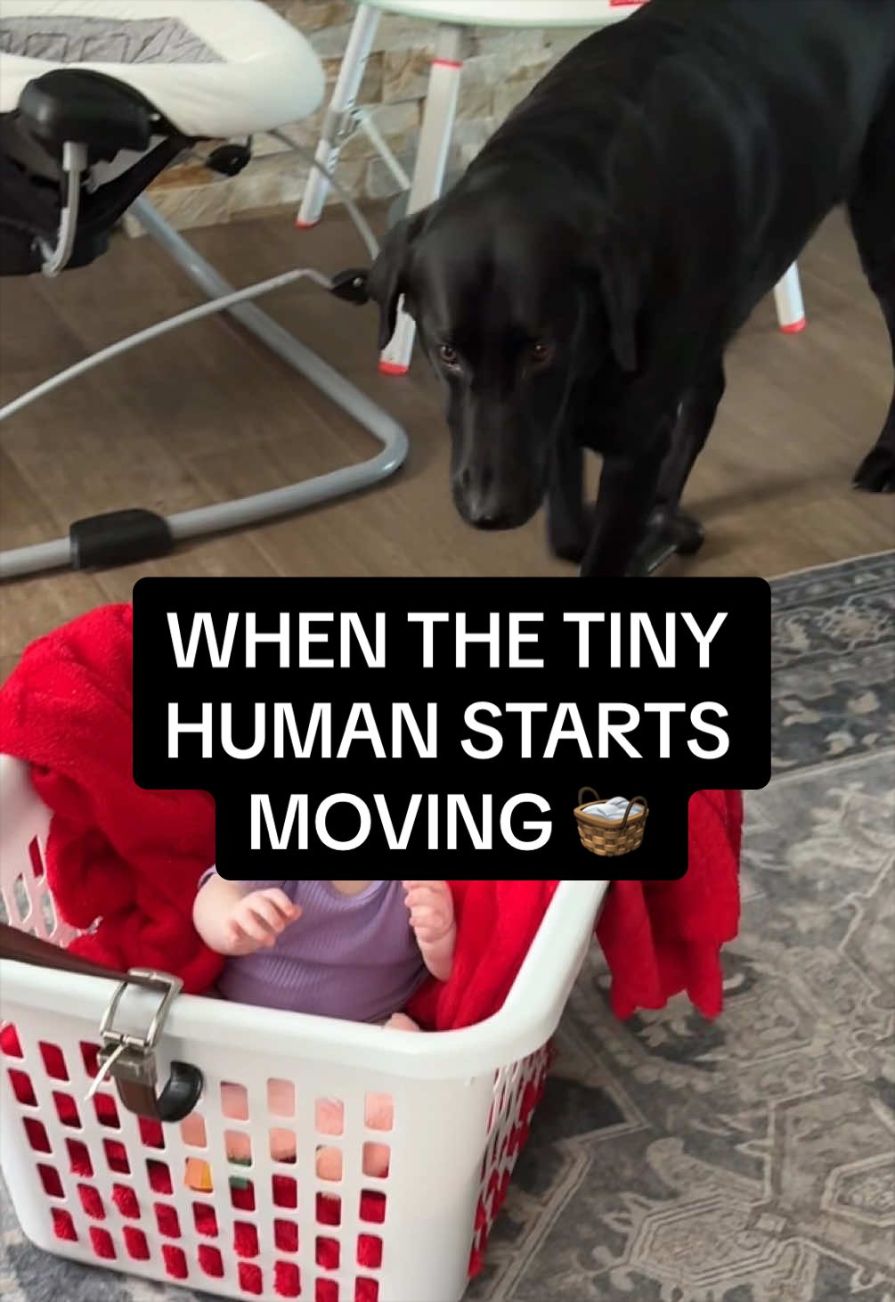 @Sevy and Gus 🐾